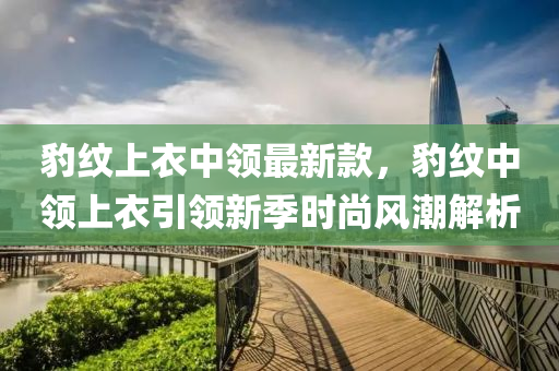 豹紋上衣中領(lǐng)最新款，豹紋中領(lǐng)上衣引領(lǐng)新季時尚風(fēng)潮解析