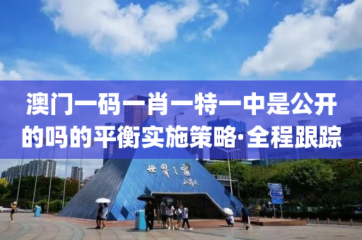 澳門一碼一肖一特一中是公開的嗎的平衡實(shí)施策略·全程跟蹤