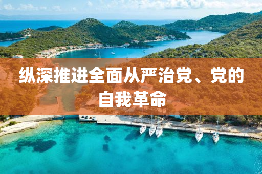 縱深推進全面從嚴治黨、黨的自我革命