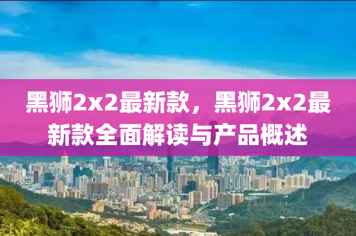 黑獅2x2最新款，黑獅2x2最新款全面解讀與產品概述