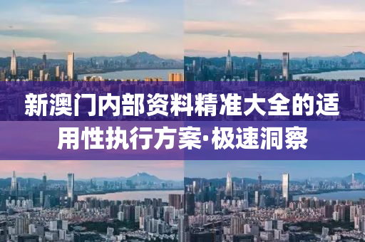 新澳門內(nèi)部資料精準(zhǔn)大全的適用性執(zhí)行方案·極速洞察