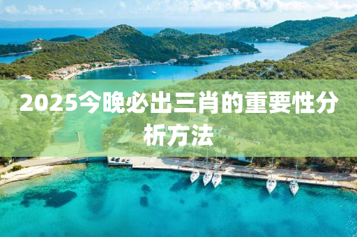 2025今晚必出三肖的重要性分析方法