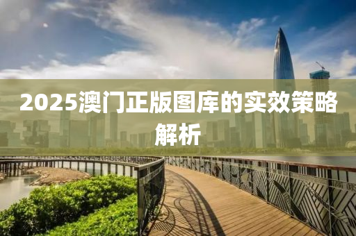 2025澳門正版圖庫的實效策略解析