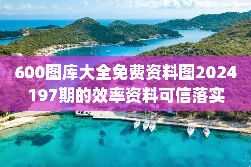 600圖庫大全免費(fèi)資料圖2024197期的效率資料可信落實(shí)
