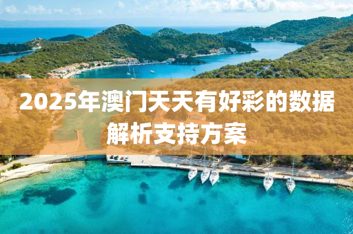 2025年澳門天天有好彩的數(shù)據(jù)解析支持方案