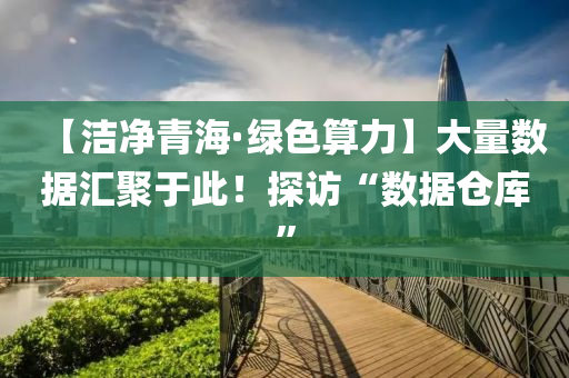 【潔凈青?！ぞG色算力】大量數(shù)據(jù)匯聚于此！探訪“數(shù)據(jù)倉(cāng)庫(kù)”