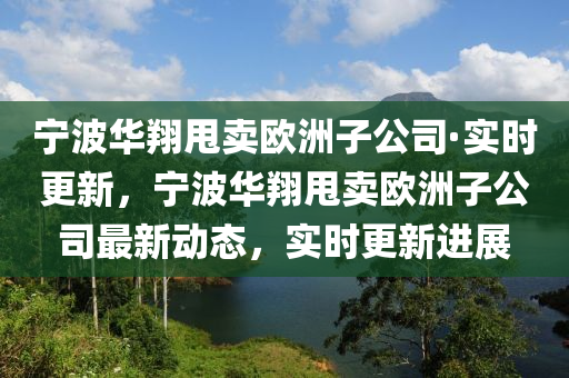 寧波華翔甩賣歐洲子公司·實(shí)時(shí)更新，寧波華翔甩賣歐洲子公司最新動(dòng)態(tài)，實(shí)時(shí)更新進(jìn)展