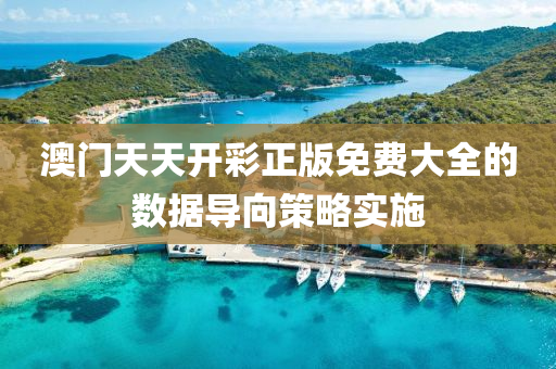 澳門天天開彩正版免費(fèi)大全的數(shù)據(jù)導(dǎo)向策略實(shí)施