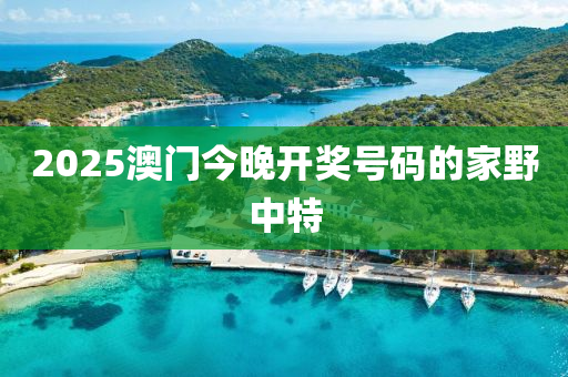 2025澳門今晚開獎(jiǎng)號(hào)碼的家野中特