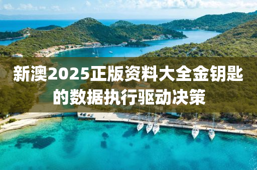 新澳2025正版資料大全金鑰匙的數(shù)據執(zhí)行驅動決策