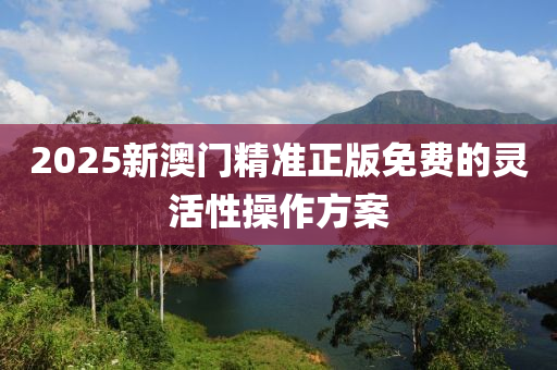 2025新澳門精準(zhǔn)正版免費(fèi)的靈活性操作方案