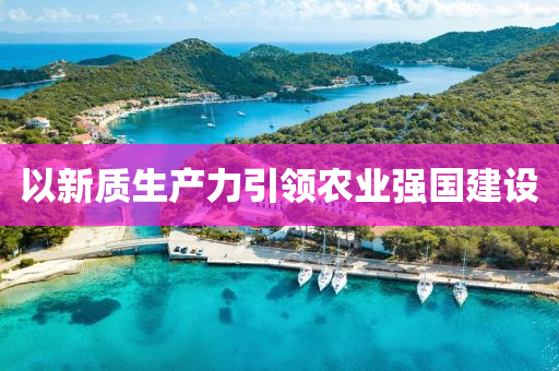 以新質(zhì)生產(chǎn)力引領(lǐng)農(nóng)業(yè)強(qiáng)國建設(shè)