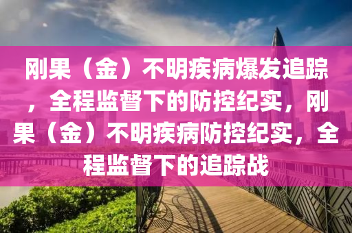 剛果（金）不明疾病爆發(fā)追蹤，全程監(jiān)督下的防控紀(jì)實(shí)，剛果（金）不明疾病防控紀(jì)實(shí)，全程監(jiān)督下的追蹤戰(zhàn)