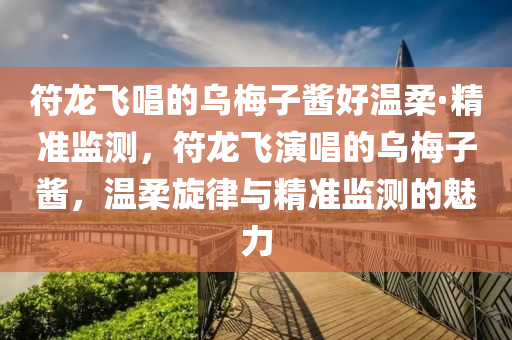 符龍飛唱的烏梅子醬好溫柔·精準(zhǔn)監(jiān)測，符龍飛演唱的烏梅子醬，溫柔旋律與精準(zhǔn)監(jiān)測的魅力