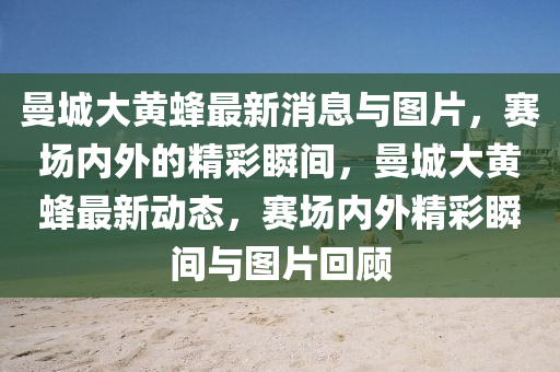 曼城大黃蜂最新消息與圖片，賽場(chǎng)內(nèi)外的精彩瞬間，曼城大黃蜂最新動(dòng)態(tài)，賽場(chǎng)內(nèi)外精彩瞬間與圖片回顧