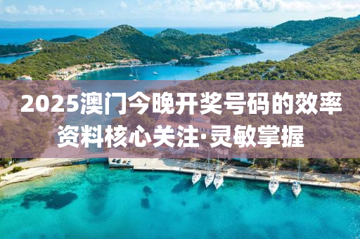 2025澳門今晚開獎(jiǎng)號(hào)碼的效率資料核心關(guān)注·靈敏掌握