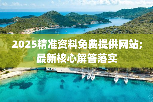 2025精準(zhǔn)資料免費(fèi)提供網(wǎng)站;最新核心解答落實(shí)