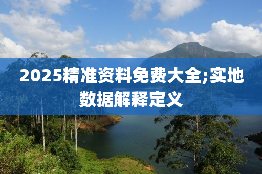 2025精準(zhǔn)資料免費(fèi)大全;實(shí)地?cái)?shù)據(jù)解釋定義