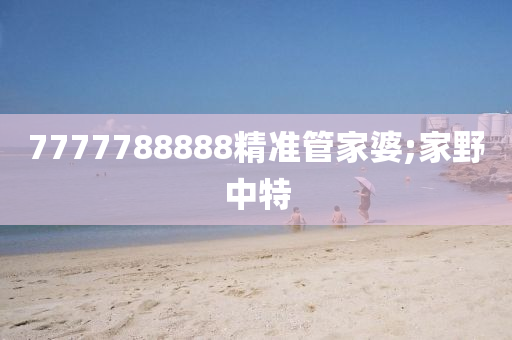 7777788888精準(zhǔn)管家婆;家野中特