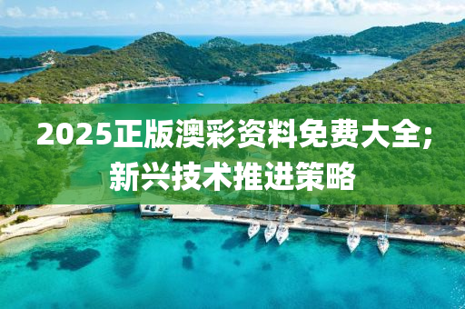 2025正版澳彩資料免費(fèi)大全;新興技術(shù)推進(jìn)策略