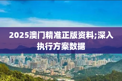 2025澳門精準(zhǔn)正版資料;深入執(zhí)行方案數(shù)據(jù)