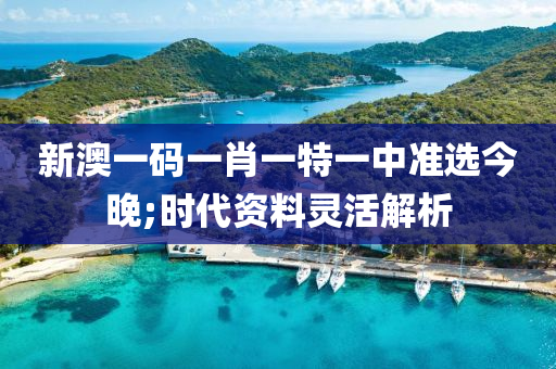 新澳一碼一肖一特一中準(zhǔn)選今晚;時代資料靈活解析