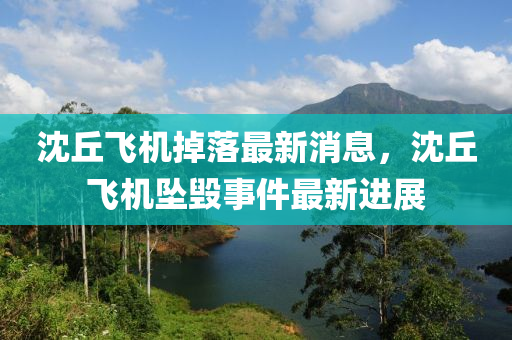沈丘飛機掉落最新消息，沈丘飛機墜毀事件最新進展