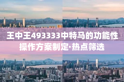 王中王493333中特馬的功能性操作方案制定·熱點篩選