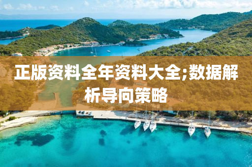 正版資料全年資料大全;數(shù)據(jù)解析導向策略