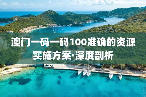 澳門(mén)一碼一碼100準(zhǔn)確的資源實(shí)施方案·深度剖析