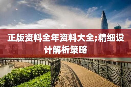 正版資料全年資料大全;精細(xì)設(shè)計解析策略