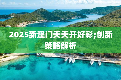 2025新澳門天天開好彩;創(chuàng)新策略解析