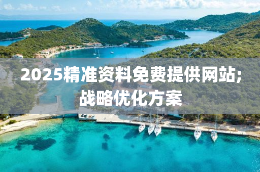2025精準(zhǔn)資料免費(fèi)提供網(wǎng)站;戰(zhàn)略優(yōu)化方案