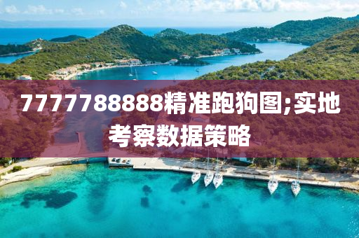 7777788888精準(zhǔn)跑狗圖;實(shí)地考察數(shù)據(jù)策略