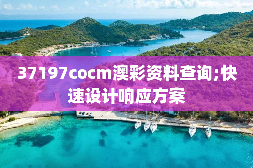 37197cocm澳彩資料查詢;快速設(shè)計響應(yīng)方案
