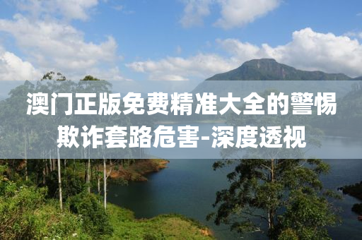 澳門正版免費(fèi)精準(zhǔn)大全的警惕欺詐套路危害-深度透視
