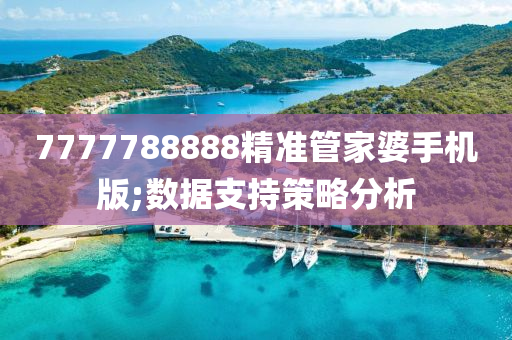 7777788888精準(zhǔn)管家婆手機(jī)版;數(shù)據(jù)支持策略分析