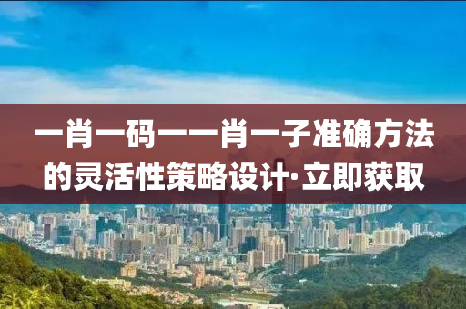 一肖一碼一一肖一子準(zhǔn)確方法的靈活性策略設(shè)計·立即獲取
