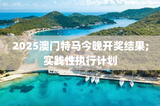 2025澳門特馬今晚開獎(jiǎng)結(jié)果;實(shí)踐性執(zhí)行計(jì)劃