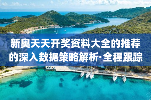 新奧天天開獎資料大全的推薦的深入數(shù)據(jù)策略解析·全程跟蹤
