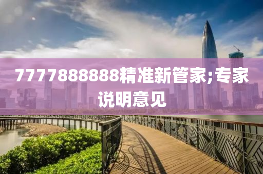 7777888888精準(zhǔn)新管家;專家說明意見