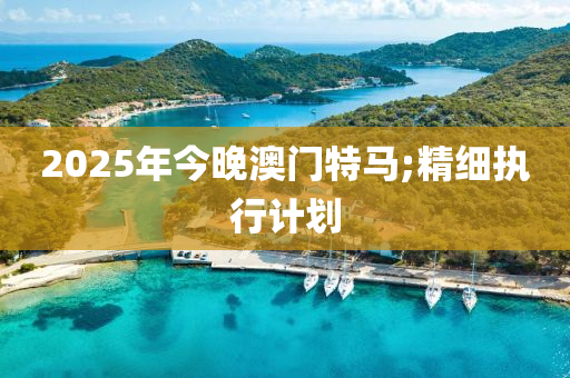 2025年今晚澳門特馬;精細(xì)執(zhí)行計(jì)劃