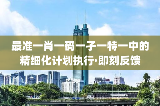 最準(zhǔn)一肖一碼一孑一特一中的精細(xì)化計(jì)劃執(zhí)行·即刻反饋
