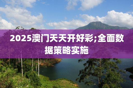 2025澳門天天開好彩;全面數(shù)據(jù)策略實施