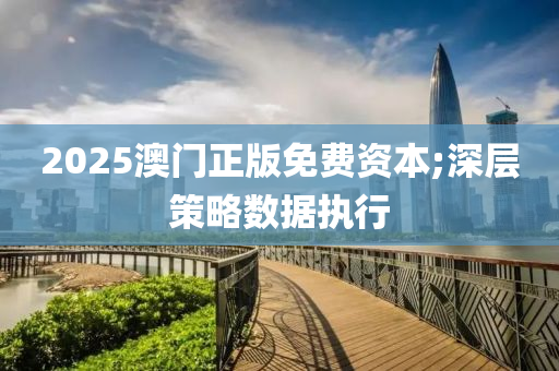 2025澳門正版免費(fèi)資本;深層策略數(shù)據(jù)執(zhí)行
