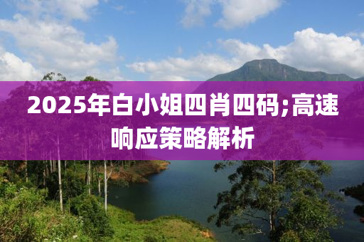 2025年白小姐四肖四碼;高速響應(yīng)策略解析