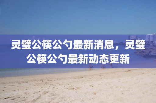 靈璧公筷公勺最新消息，靈璧公筷公勺最新動態(tài)更新