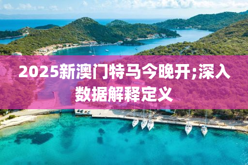 2025新澳門特馬今晚開(kāi);深入數(shù)據(jù)解釋定義