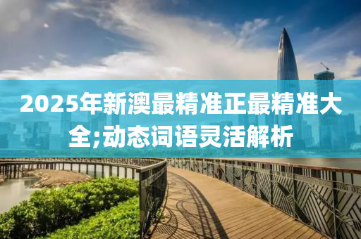 2025年新澳最精準正最精準大全;動態(tài)詞語靈活解析