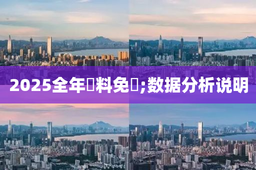 2025全年資料免費;數(shù)據(jù)分析說明